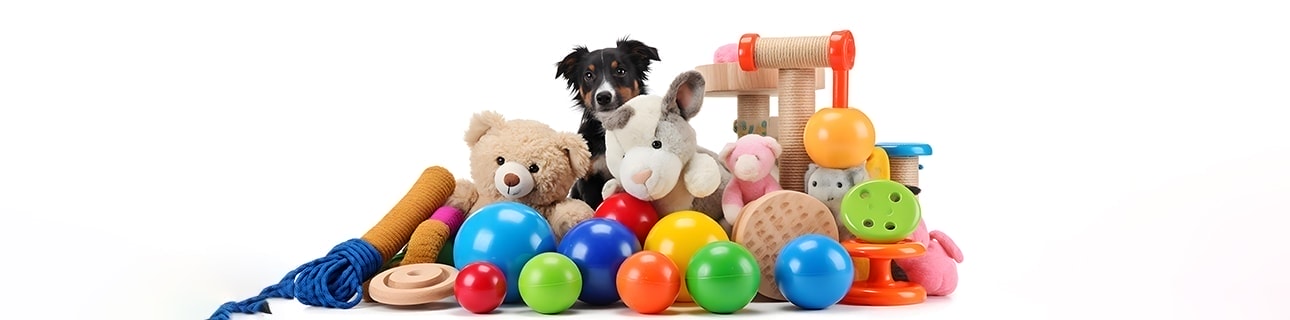 Pet Toys